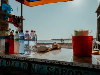 Full Day Paracas